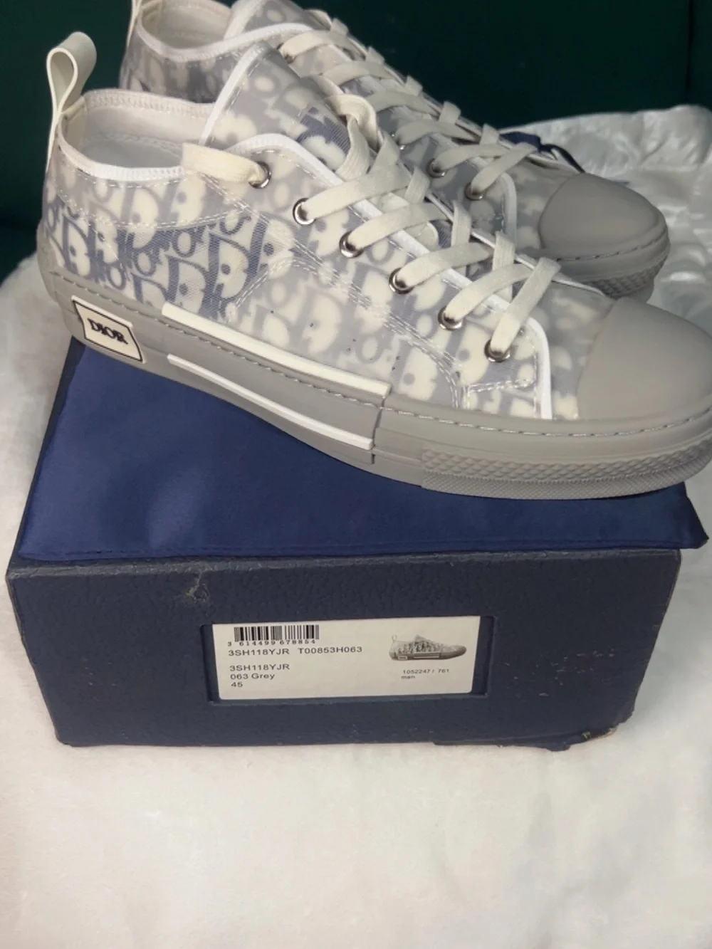 Dior Men Gray & White Logo Low-Top Sneakers